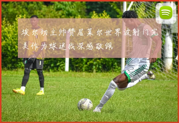 埃尔切主帅赞居莱尔世界波射门完美作为球迷我深感敬佩